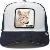 Baseball Cap Bandit Coyote , Global Core Denim - Goorin Bros